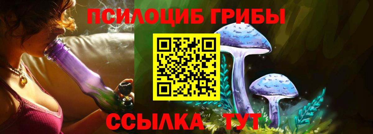Рязань  Галлюциногенные грибы MAGIC MUSHROOMS  Галлюциногенные грибы Cubensis  Вход с VPN 